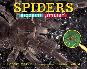 portada Spiders: Biggest! Littlest! (en Inglés)