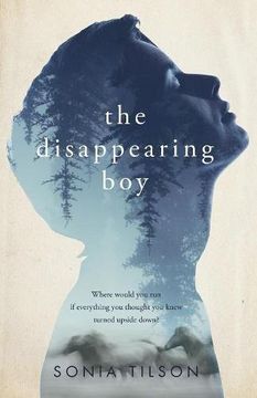 portada The Disappearing Boy (en Inglés)