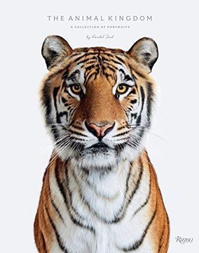 portada Animal Kingdom: A Collection of Portraits (en Inglés)