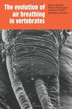 portada The Evolution of air Breathing in Vertebrates (in English)