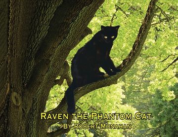 portada Raven The Phantom Cat (en Inglés)