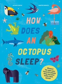 portada How Does An Octopus Sleep? (en Inglés)