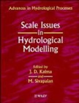 portada scale issues in hydrological modelling (en Inglés)