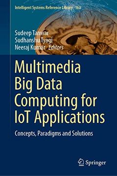 portada Multimedia Big Data Computing for Iot Applications: Concepts, Paradigms and Solutions (in English)