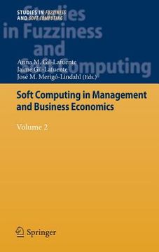 portada soft computing in management and business economics