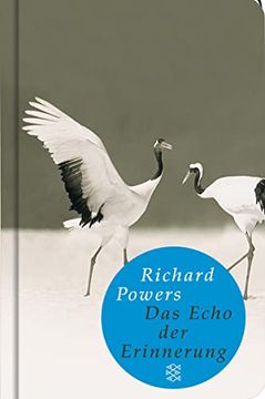 portada Das Echo der Erinnerung: Roman (Fischer Taschenbibliothek) (in German)