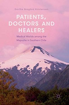 portada Patients, Doctors and Healers: Medical Worlds Among the Mapuche in Southern Chile (en Inglés)