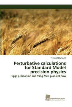 portada Perturbative calculations for Standard Model precision physics: Higgs production and Yang-Mills gradient flow (in German)