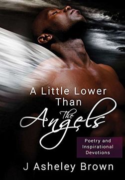 portada A Little Lower Than the Angels (in English)