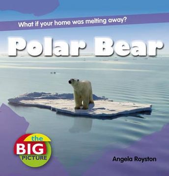 portada polar bear (en Inglés)