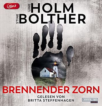portada Brennender Zorn: (Die Maria-Just-Reihe, Band 2) (en Alemán)