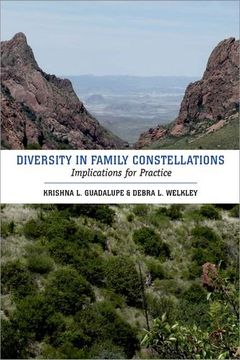 portada Diversity in Family Constellations: Implications for Practice (en Inglés)