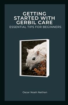 portada Getting Started with Gerbil Care: Essential Tips for Beginners