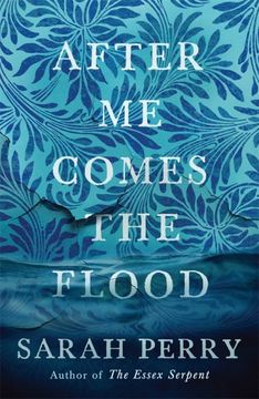 portada After me Comes the Flood (en Inglés)