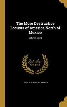 portada The More Destructive Locusts of America North of Mexico; Volume no.28 (in English)