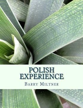 portada Polish Experience (en Inglés)