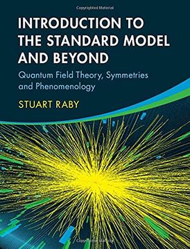 portada Introduction to the Standard Model and Beyond: Quantum Field Theory, Symmetries and Phenomenology (en Inglés)