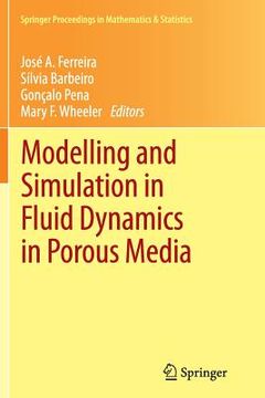 portada Modelling and Simulation in Fluid Dynamics in Porous Media (en Inglés)