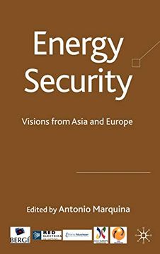 portada Energy Security: Visions From Asia and Europe (in English)