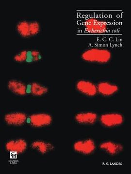 portada Regulation of Gene Expression in Escherichia Coli (en Inglés)