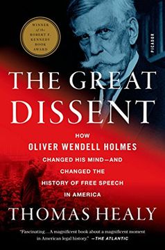 portada The Great Dissent: How Oliver Wendell Holmes Changed his Mind--And Changed the History of Free Speech in America (in English)
