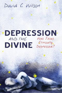 portada Depression and the Divine (en Inglés)