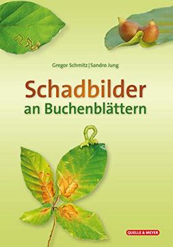 portada Schadbilder an Buchenblättern (en Alemán)