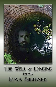portada The Well of Longing (en Inglés)