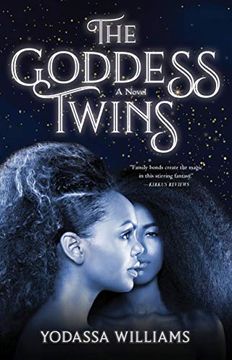 portada The Goddess Twins: A Novel (in English)