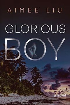 portada Glorious boy (in English)