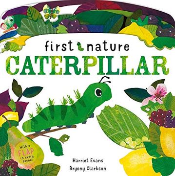 portada Caterpillar (First Nature) (en Inglés)