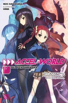 portada Accel World, Vol. 19 (Light Novel) (in English)