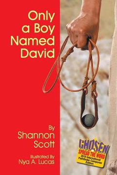 portada Only a Boy Named David (en Inglés)