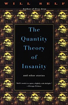 portada The Quantity Theory of Insanity (Vintage Contemporaries) (in English)