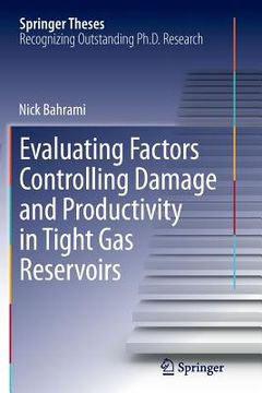 portada Evaluating Factors Controlling Damage and Productivity in Tight Gas Reservoirs (en Inglés)