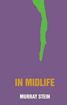 portada In Midlife: A Jungian Perspective (en Inglés)