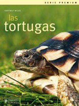 portada Las Tortugas
