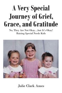 portada A Very Special Journey of Grief, Grace, and Gratitude: No, They Are Not Okay...but It's Okay! Raising Special Needs Kids (en Inglés)