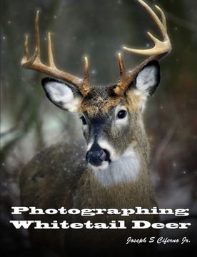 portada Photographing Whitetail Deer (en Inglés)
