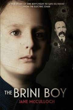 portada The Brini Boy (in English)