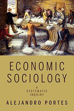 portada Economic Sociology: A Systematic Inquiry (en Inglés)