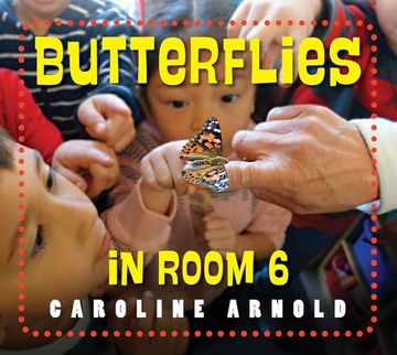 portada Butterflies in Room 6: See How They Grow (in English)