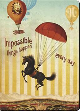 portada impossible things happen every day journal
