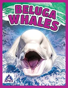 portada Beluga Whales (in English)