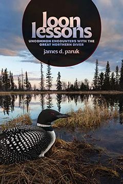 portada Loon Lessons: Uncommon Encounters With the Great Northern Diver 