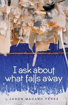 portada I Ask about What Falls Away (en Inglés)