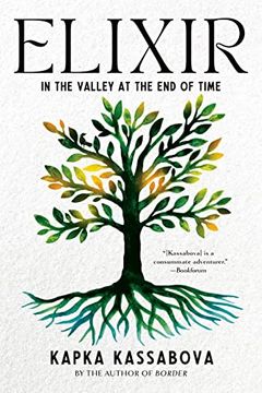 portada Elixir: In the Valley at the end of Time (en Inglés)