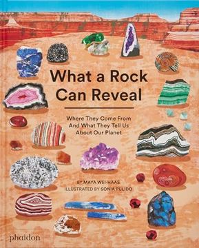 portada What a Rock can Reveal: Where They Come From and What They Tell us About our Planet (en Inglés)