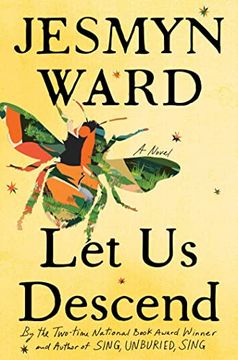 portada Let us Descend: A Novel (en Inglés)