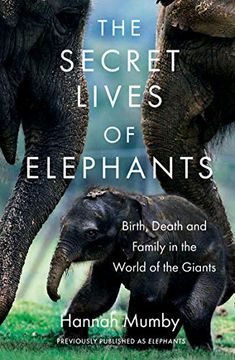 portada The Secret Lives of Elephants: Birth, Death and Family in the World of the Giants (in English)